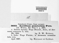 Image Associated With the Occurence